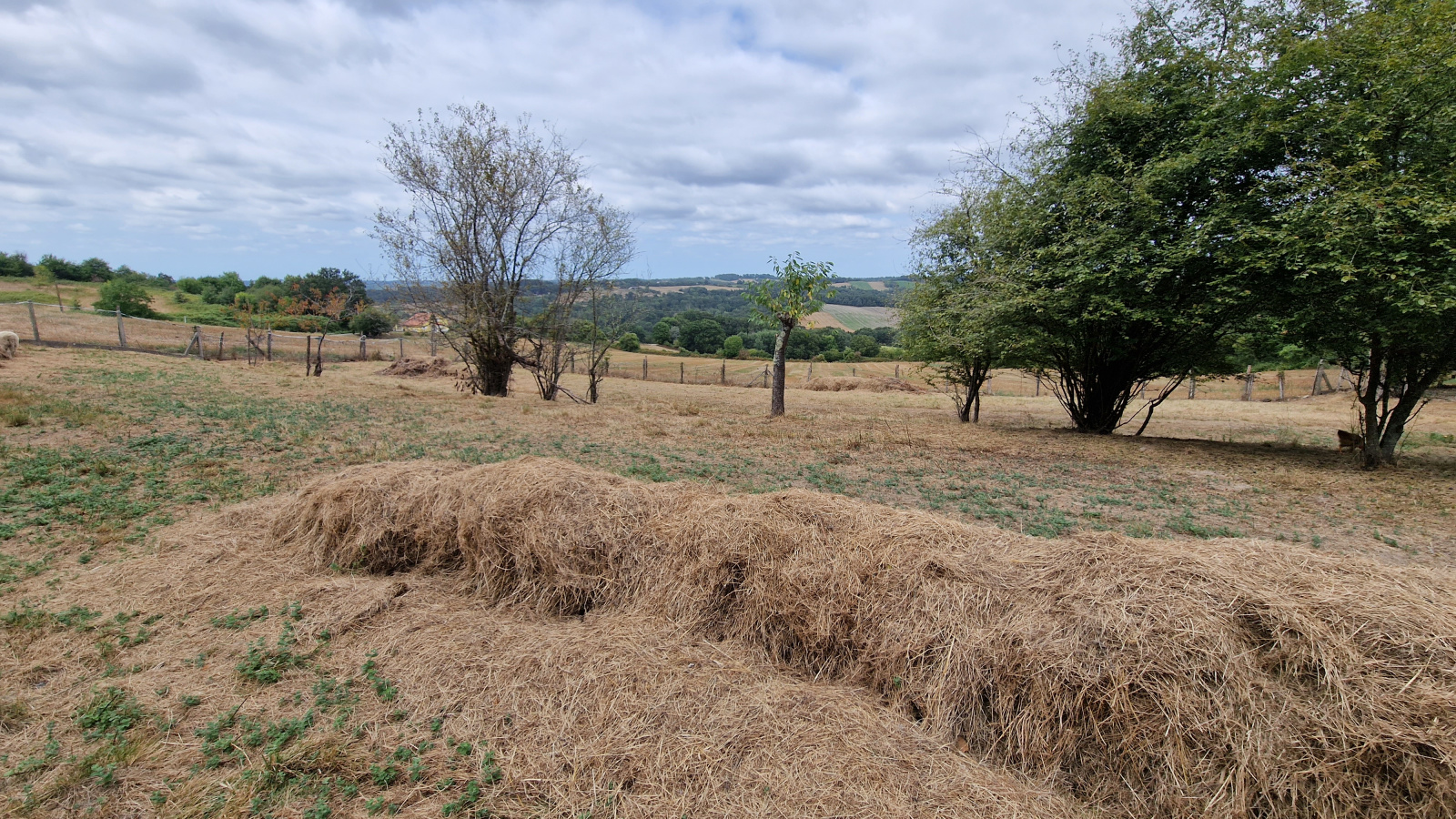Image_, Terrain, Burgaronne, ref :1812
